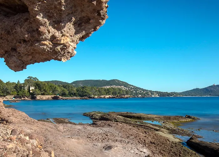 公寓 3 Pers - Climatise, Balcon, 50m, Centre-ville - Fr-1-466a-42